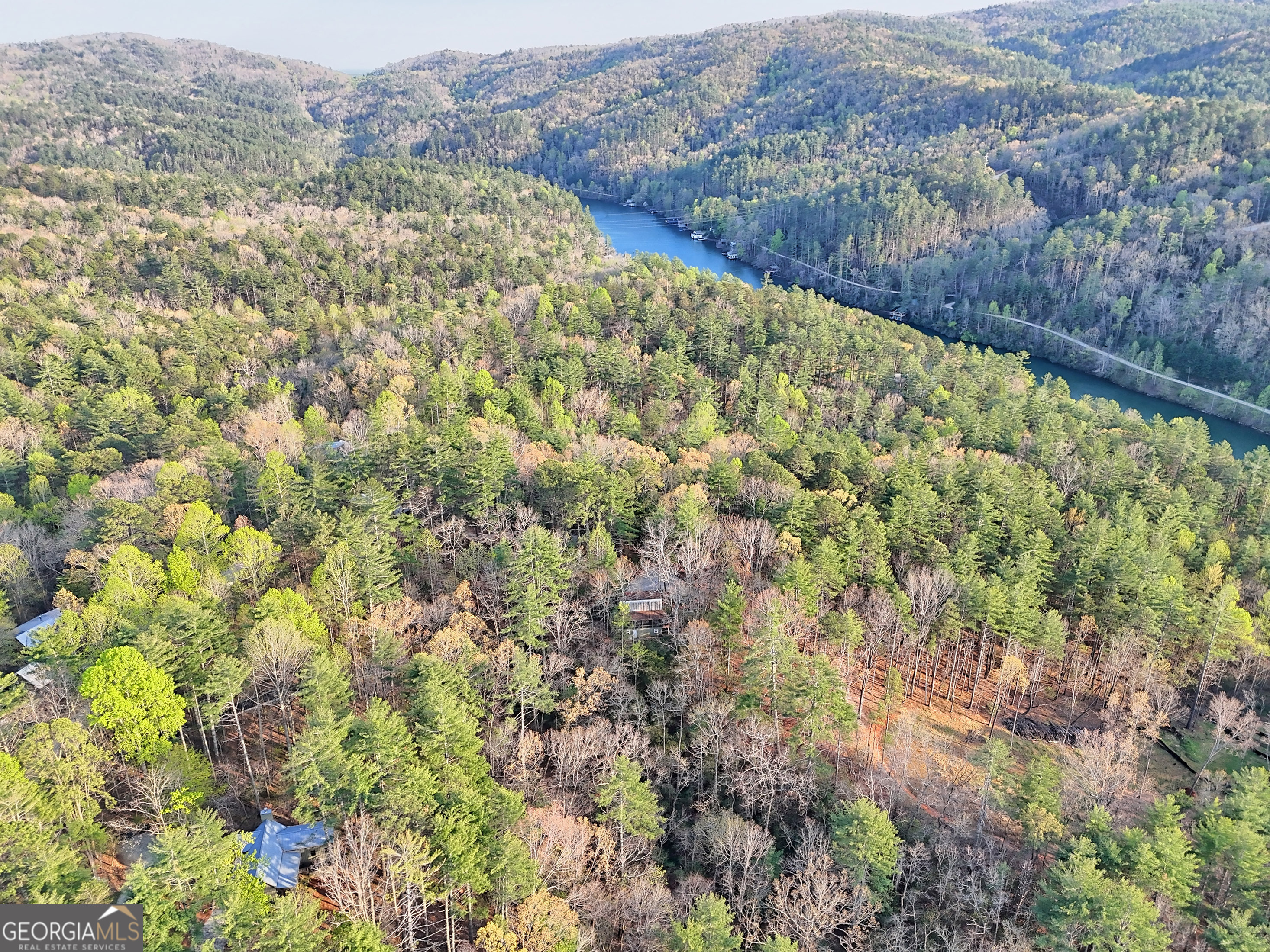604 Tame Turkey Road Lakemont, GA 30552 - Photo 4 of 57