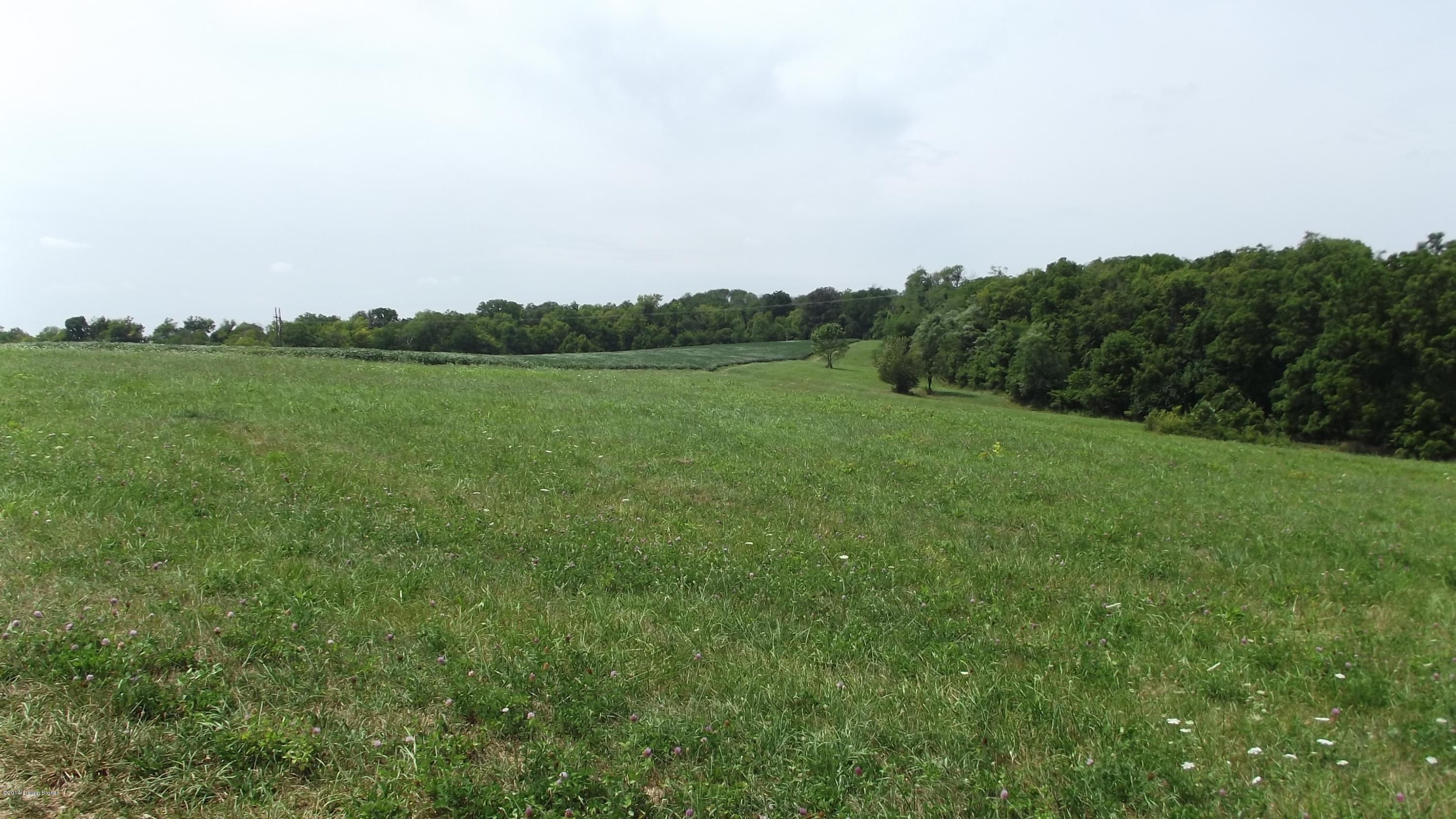 671 Sulphur Road New Castle, KY 40050 - Photo 4 of 33 DSCF4607