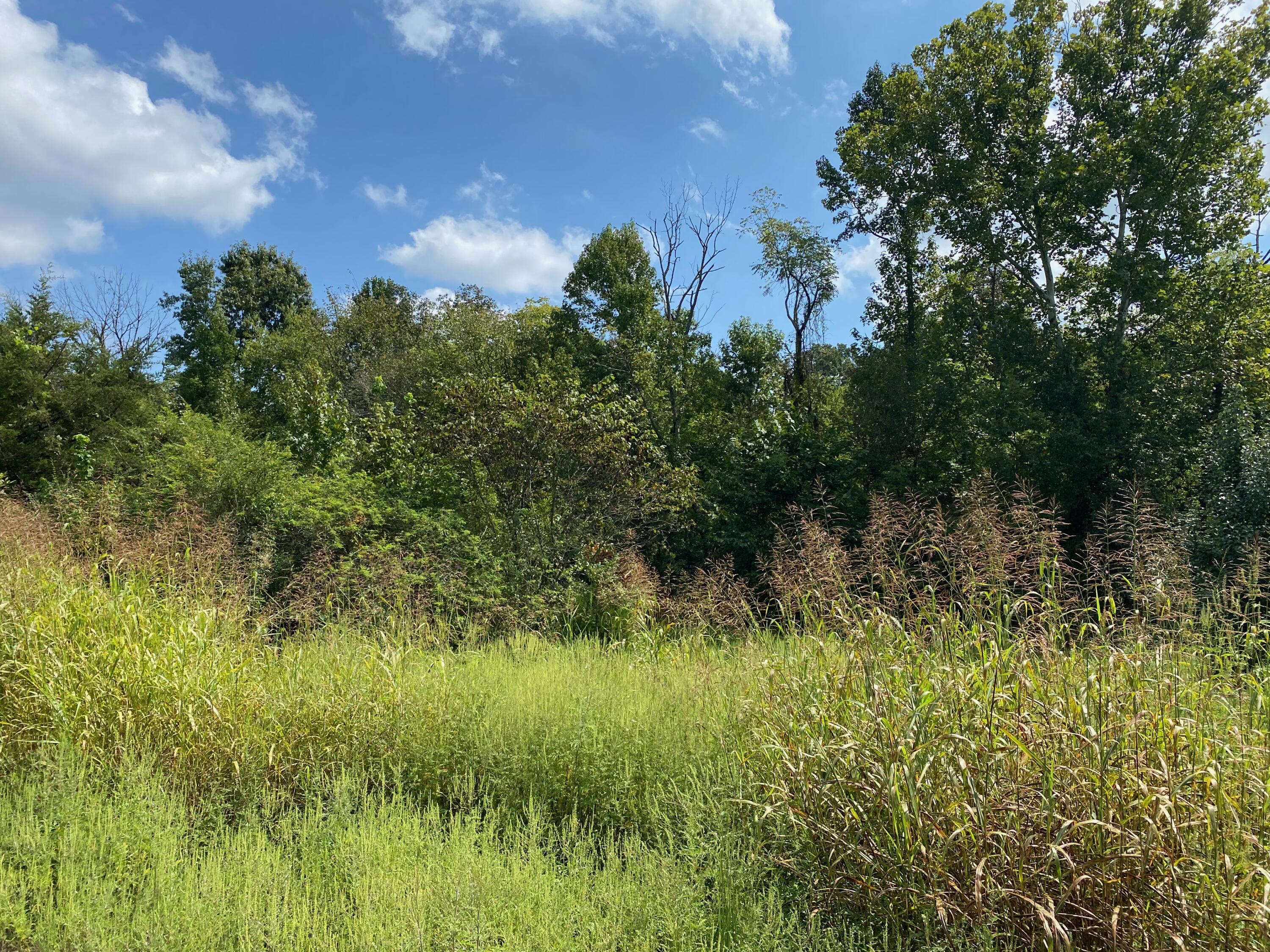 1009 Baker Bridge Road Northeast, Unit 1 Charleston, TN 37310 - Photo 6 of 9 IMG_8129
