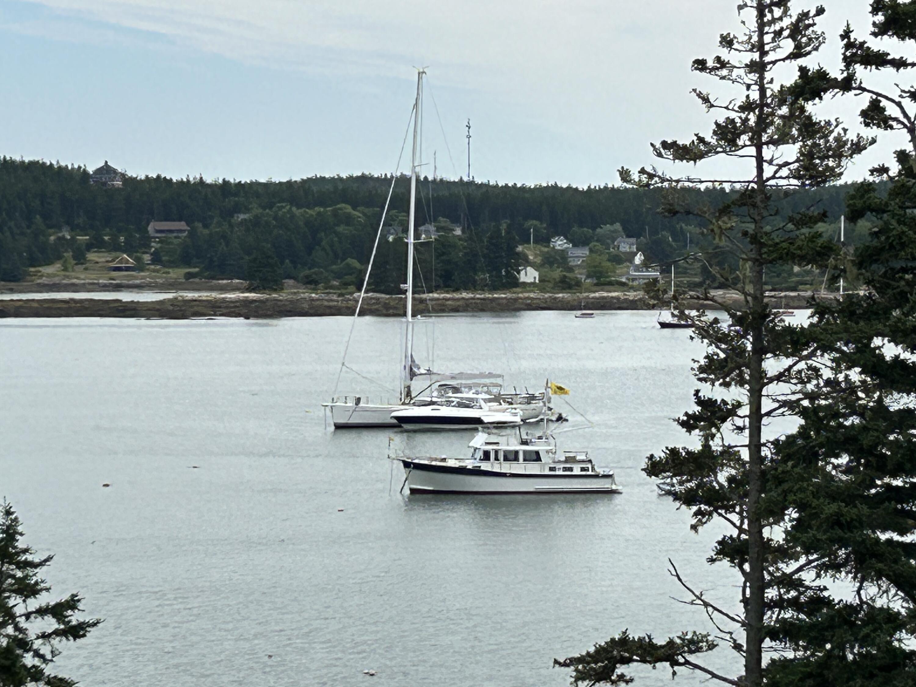 306 Minturn Road Swans Island, ME 04685 - Photo 34 of 34 1C7BC175-845F-46F9-8BE6-984AF75CB434