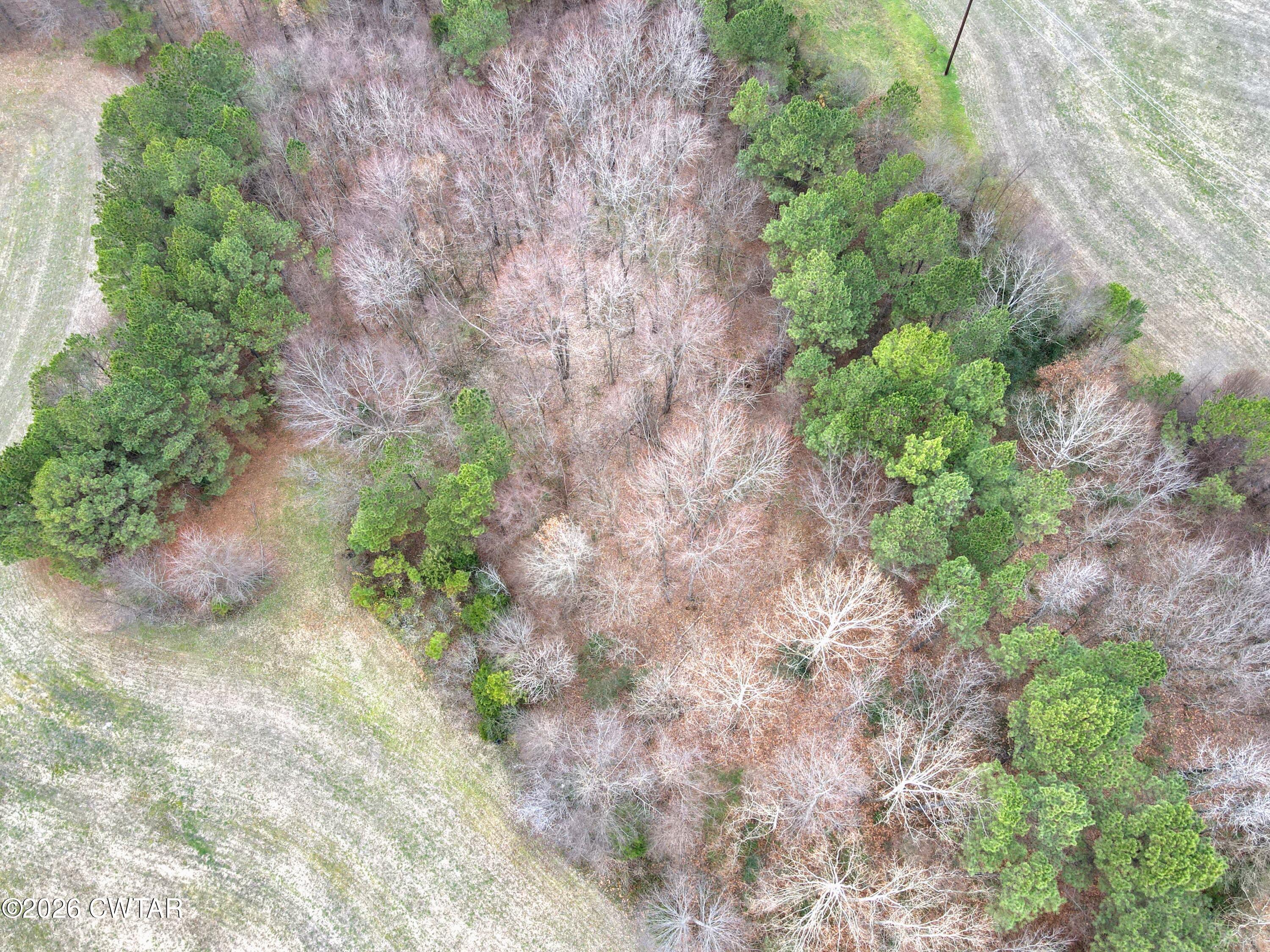 3101 Warren Road Humboldt, TN 38343 - Photo 10 of 13