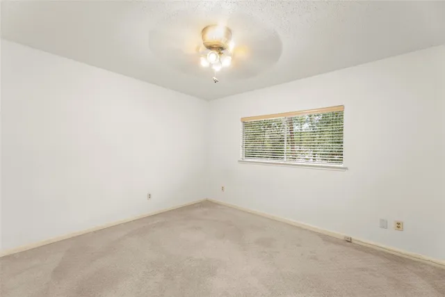 a view of backyard with large trees