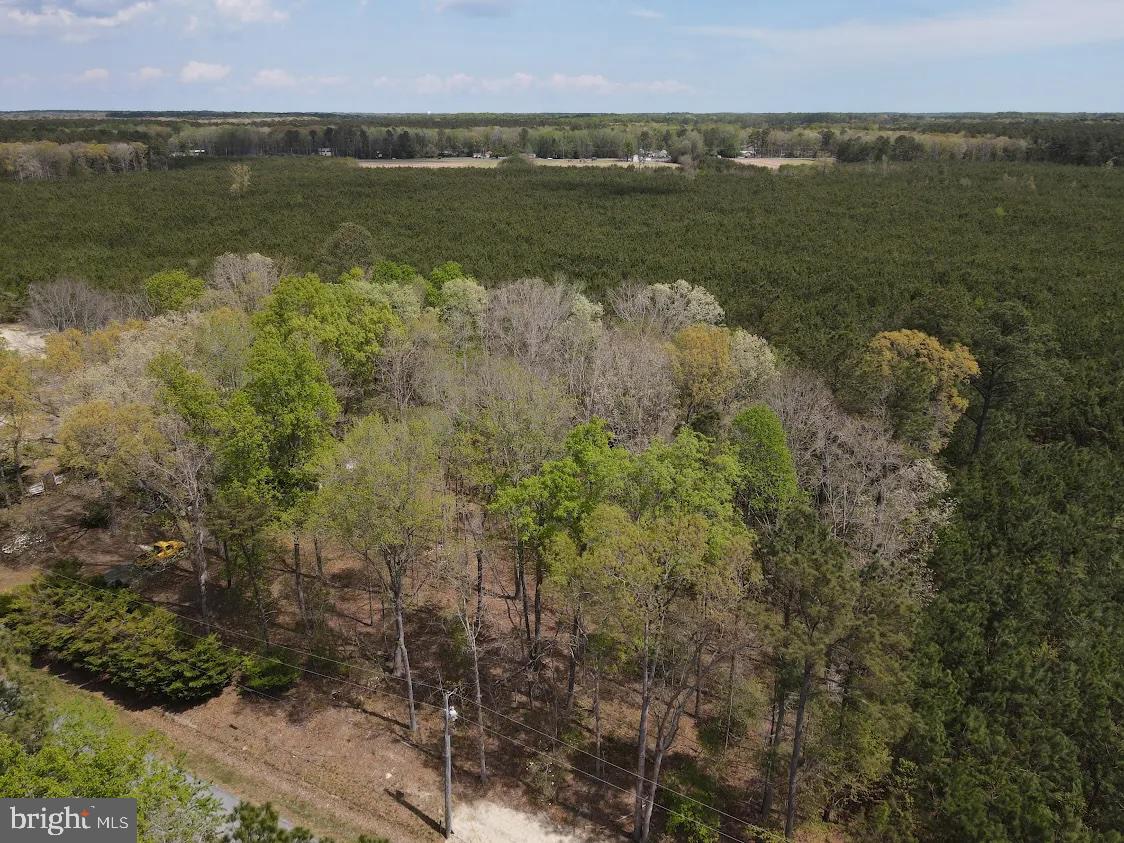 Parcel D Short Road Harbeson, DE 19951 - Photo 2 of 6