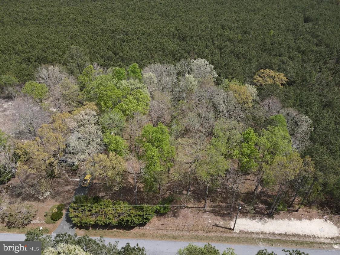 Parcel D Short Road Harbeson, DE 19951 - Photo 3 of 6