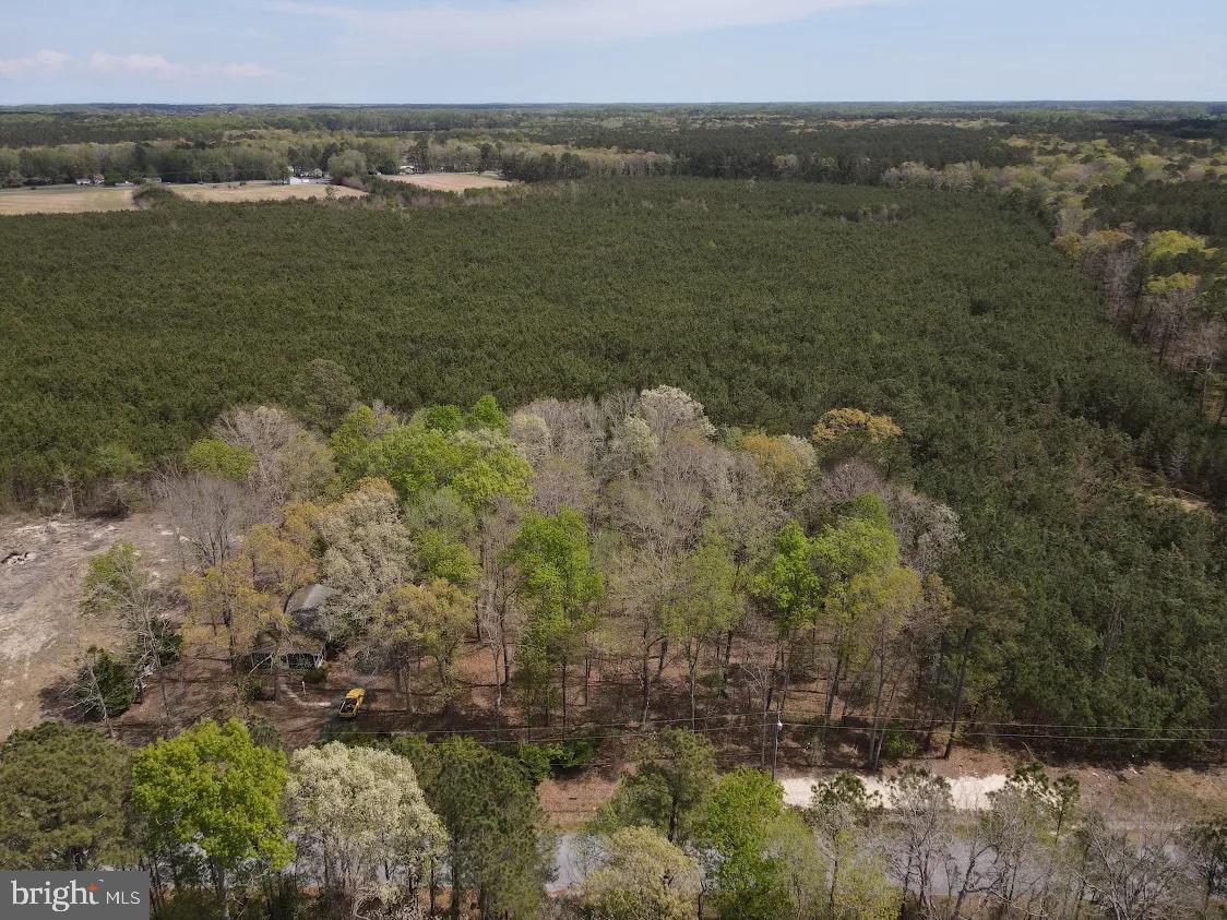 Parcel D Short Road Harbeson, DE 19951 - Photo 4 of 6