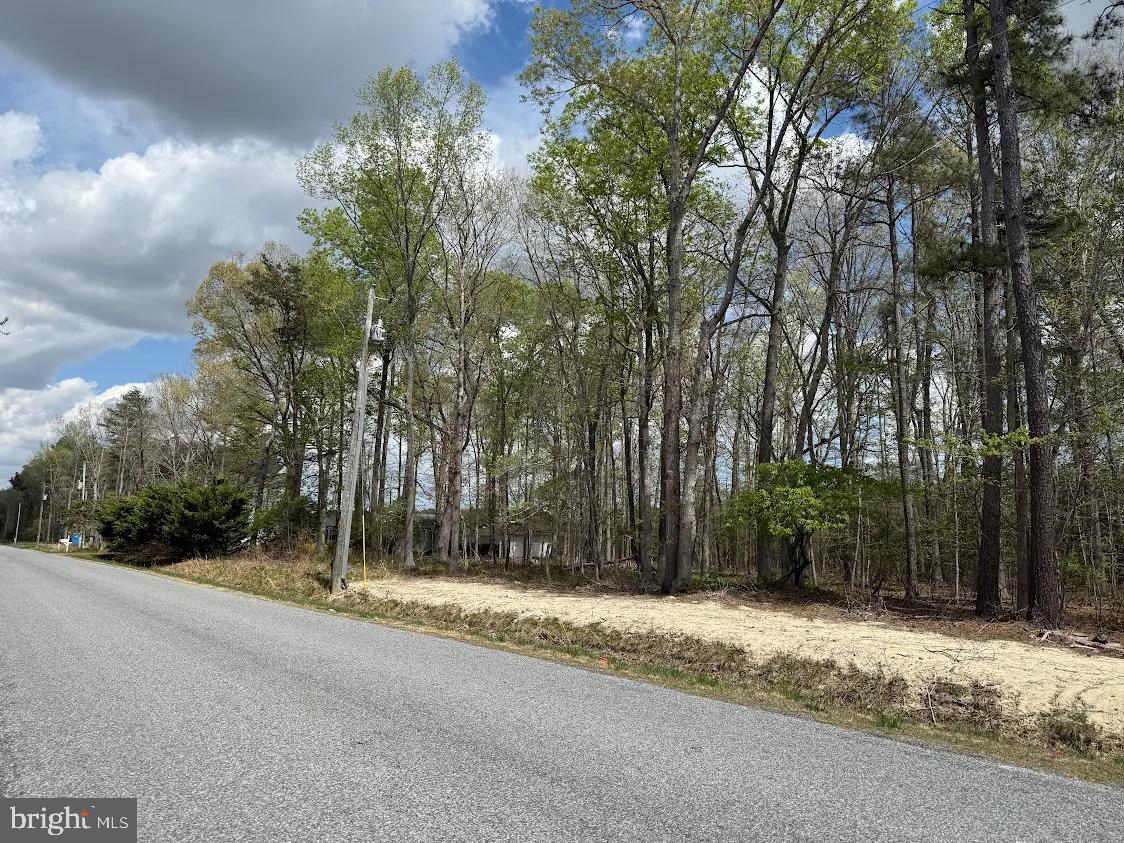 Parcel D Short Road Harbeson, DE 19951 - Photo 5 of 6