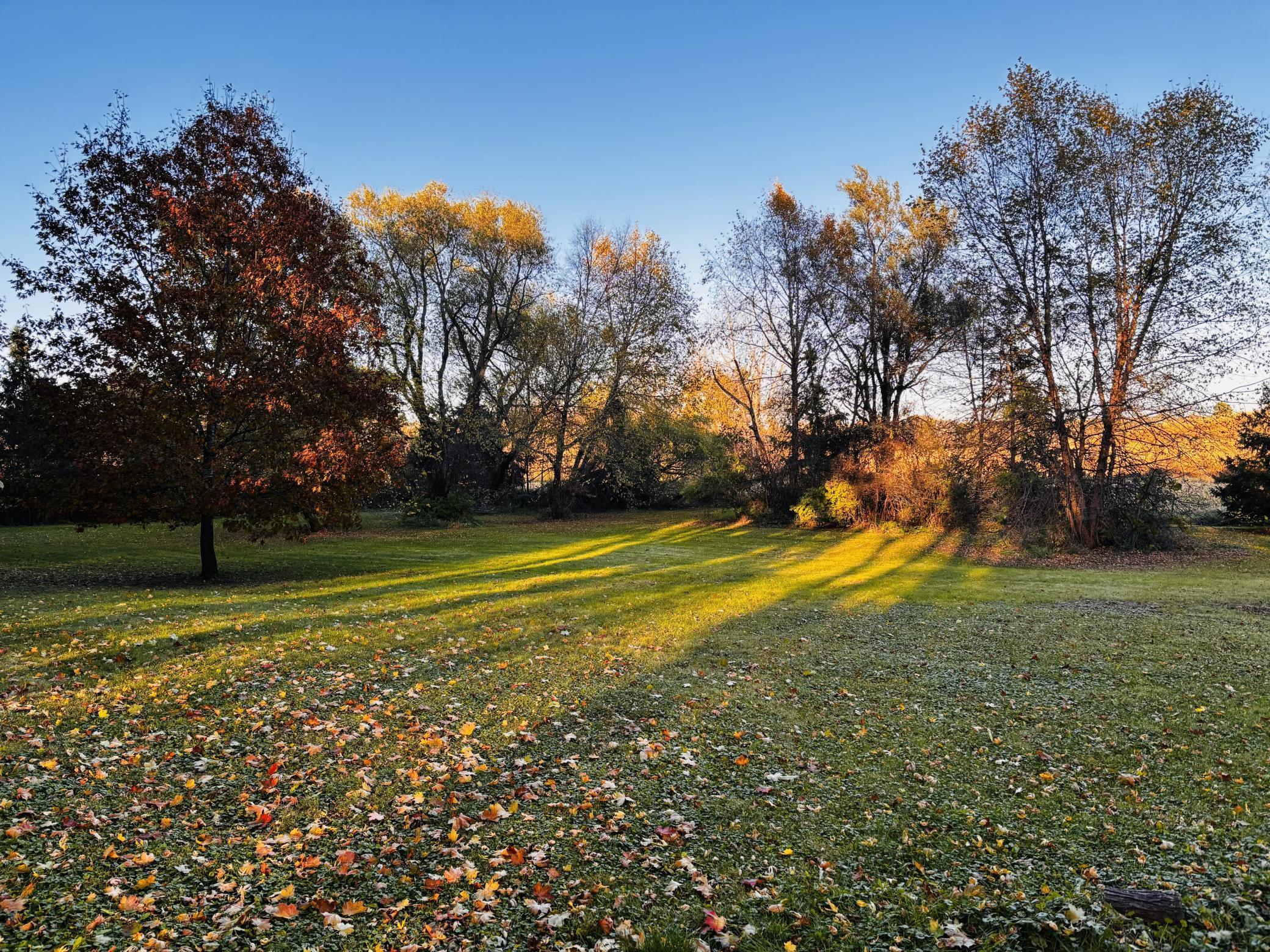 21581 Creekside Circle Prior Lake, MN 55372 - Photo 21 of 24