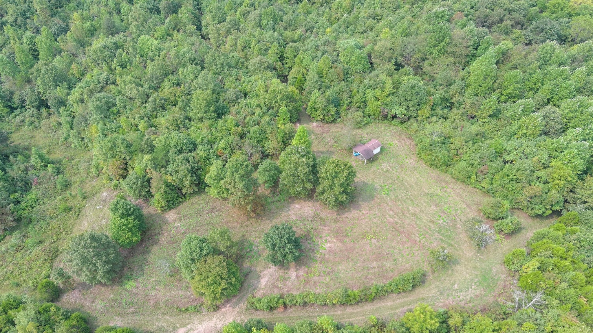417 Womac Hollow Road Decatur, TN 37322 - Photo 5 of 28