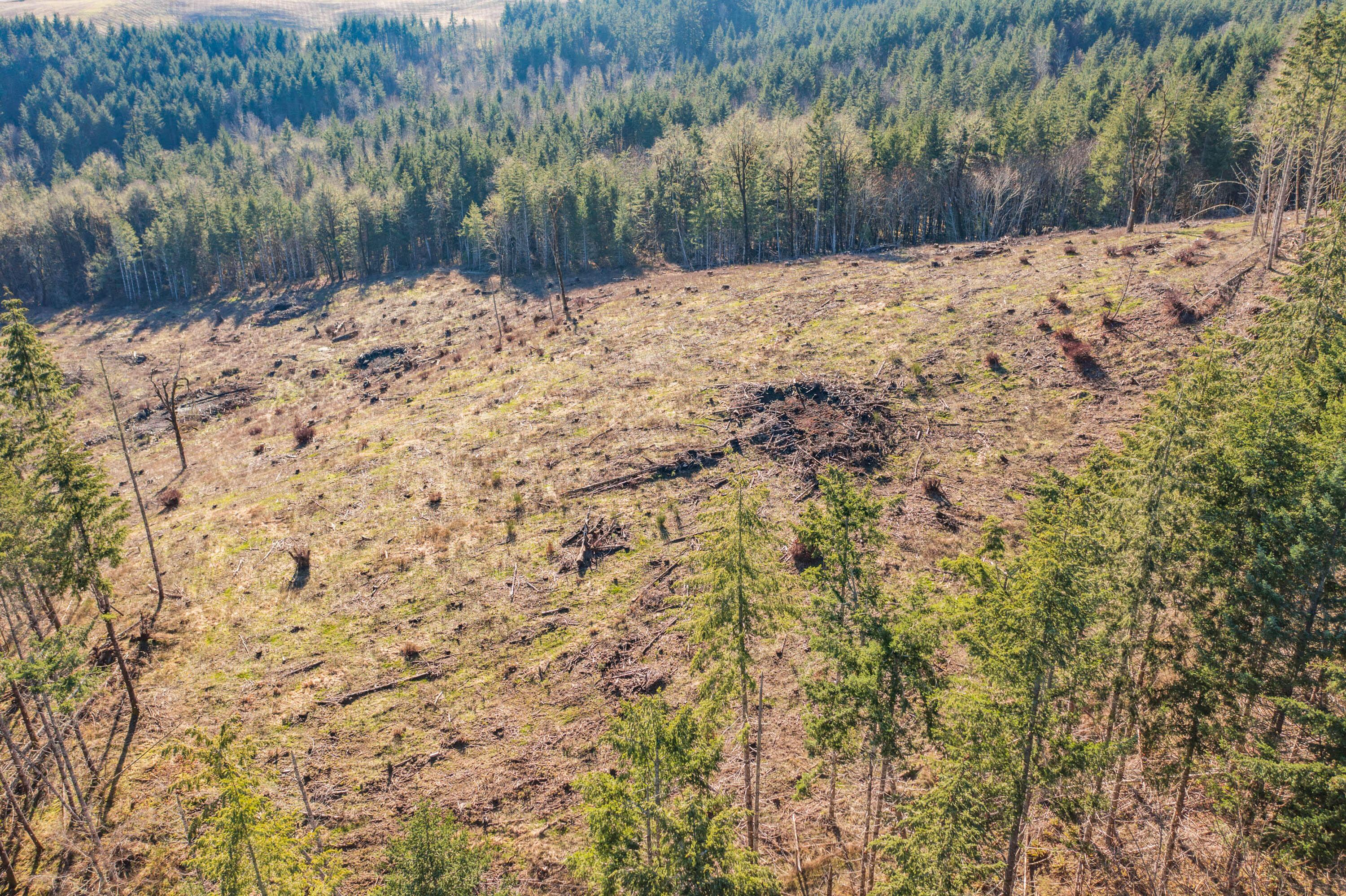 0 Airlie Road Monmouth, OR 97361 - Photo 25 of 33 Export-0878