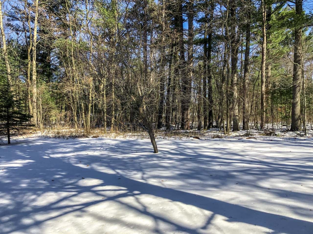 W5733 Daoust Road Tomahawk, WI 54487 - Photo 8 of 26 Gallery Image 8