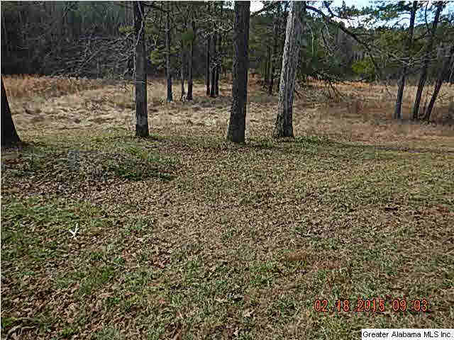 560 Gardner Road Jasper, AL 35501 - Photo 8 of 20