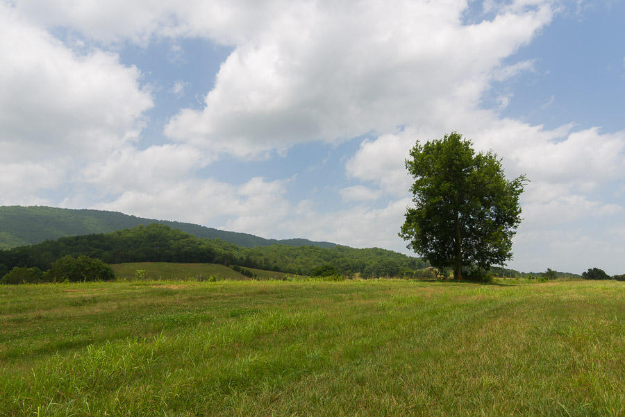 3003 Rutledge Pike Blaine, TN 37709 - Photo 8 of 22 JBP_7531