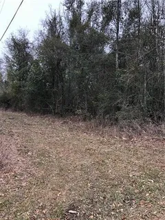 $39,000 | Lot 1 Chenel Street, Folsom, LA 70437