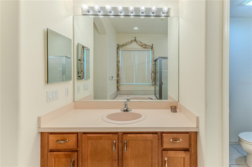 239 Longleaf Court Spring Hill, FL 34609 - Photo 31 of 55 a bathroom with a sink and a mirror