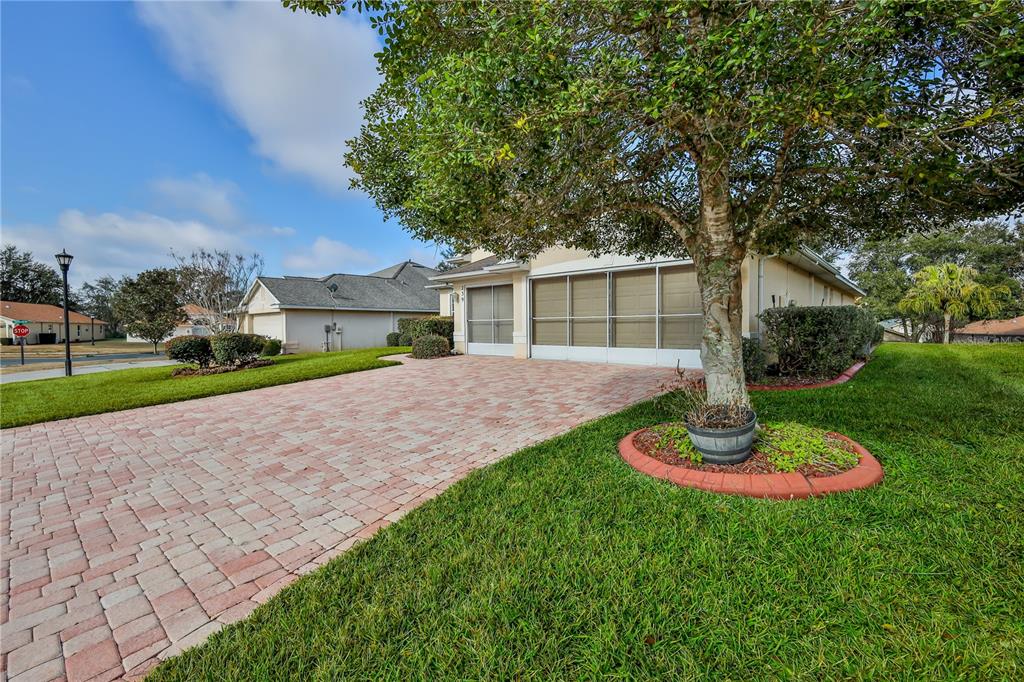239 Longleaf Court Spring Hill, FL 34609 - Photo 4 of 55 a house view with a garden space and trees