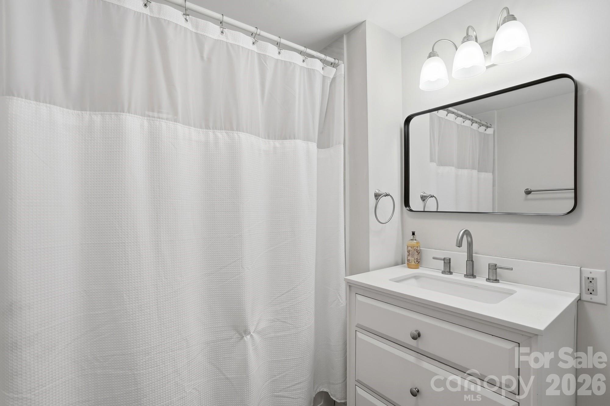 128 Massey Street Fort Mill, SC 29715 - Photo 16 of 29 a bathroom with a sink and a mirror