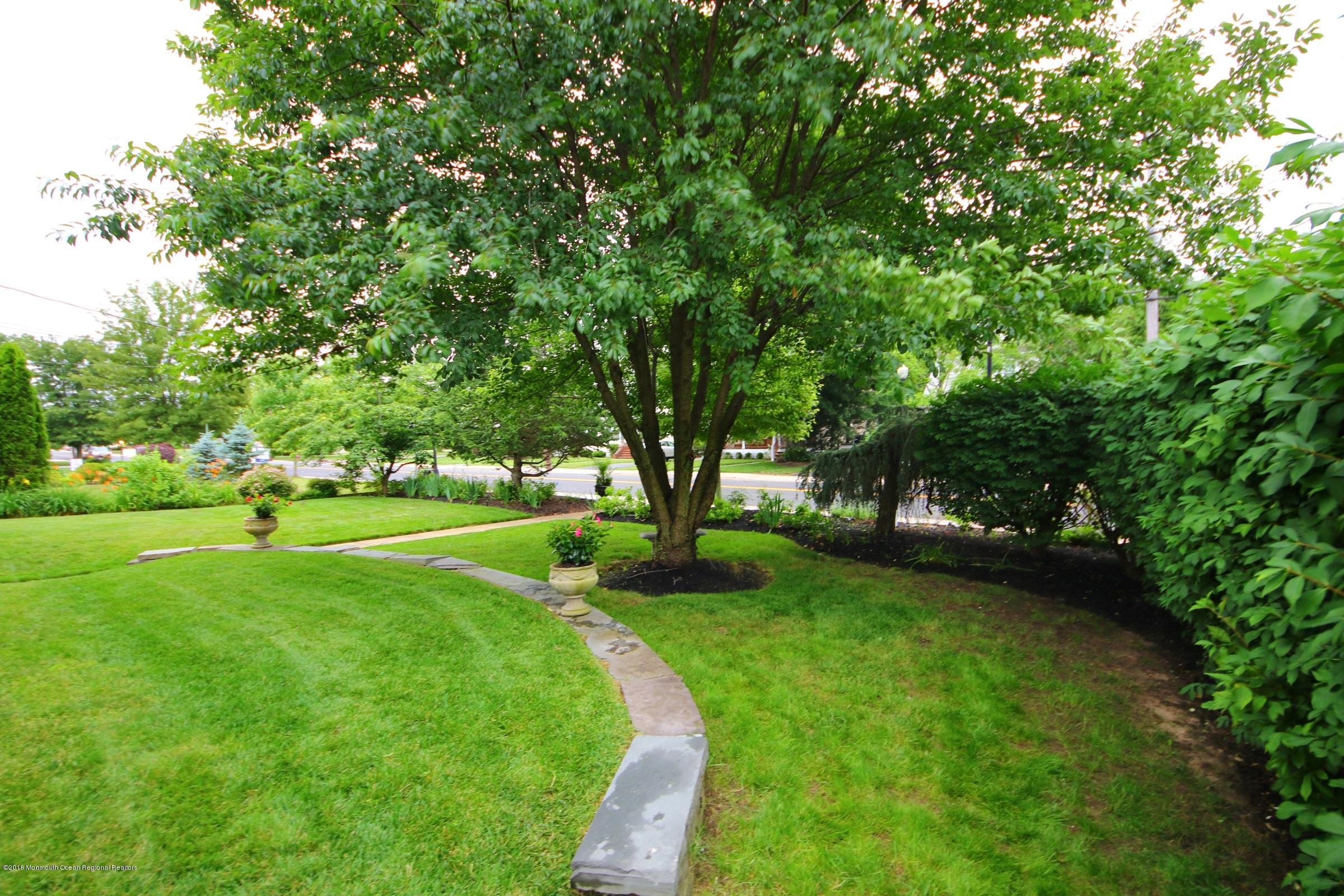 668 River Road Fair Haven, NJ 07704 - Photo 6 of 68 a view of a park with large trees