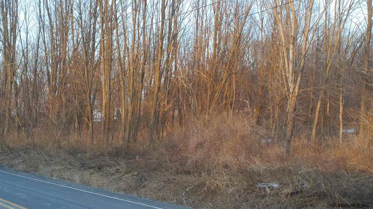 0 Junction Road Howes Cave, NY 12092 - Photo 1 of 4 Photo 1