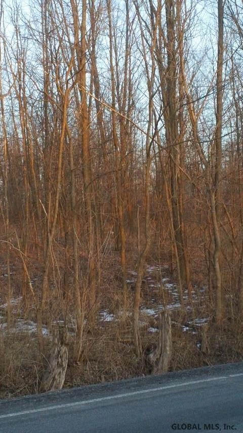 0 Junction Road Howes Cave, NY 12092 - Photo 2 of 4 Photo 2