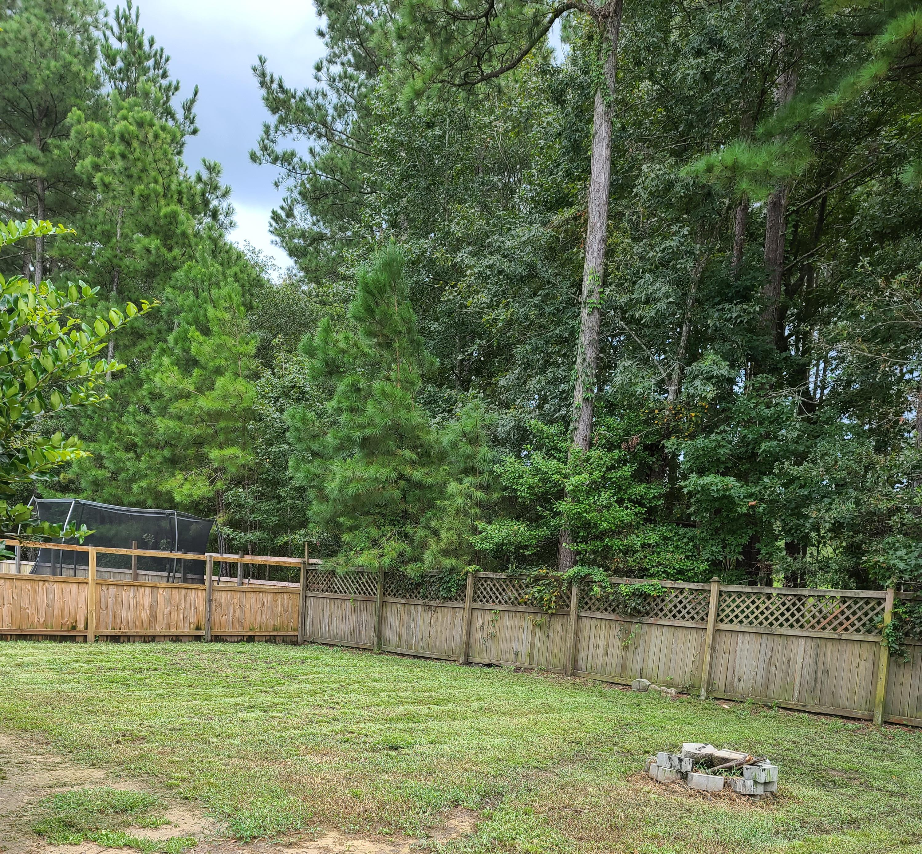 292 Killarney Trail Moncks Corner, SC 29461 - Photo 11 of 13 killarney 9