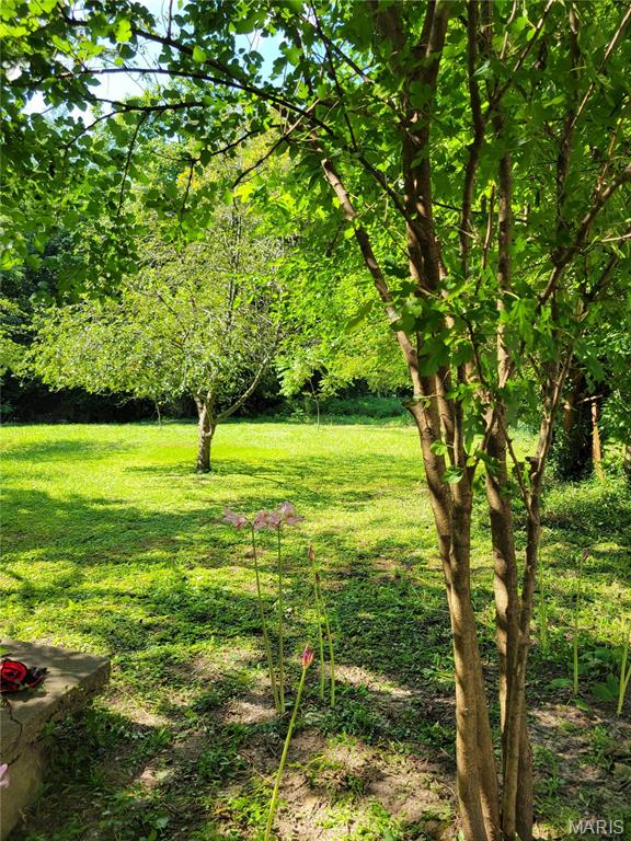 301 Main Street Middletown, MO 63359 - Photo 9 of 10