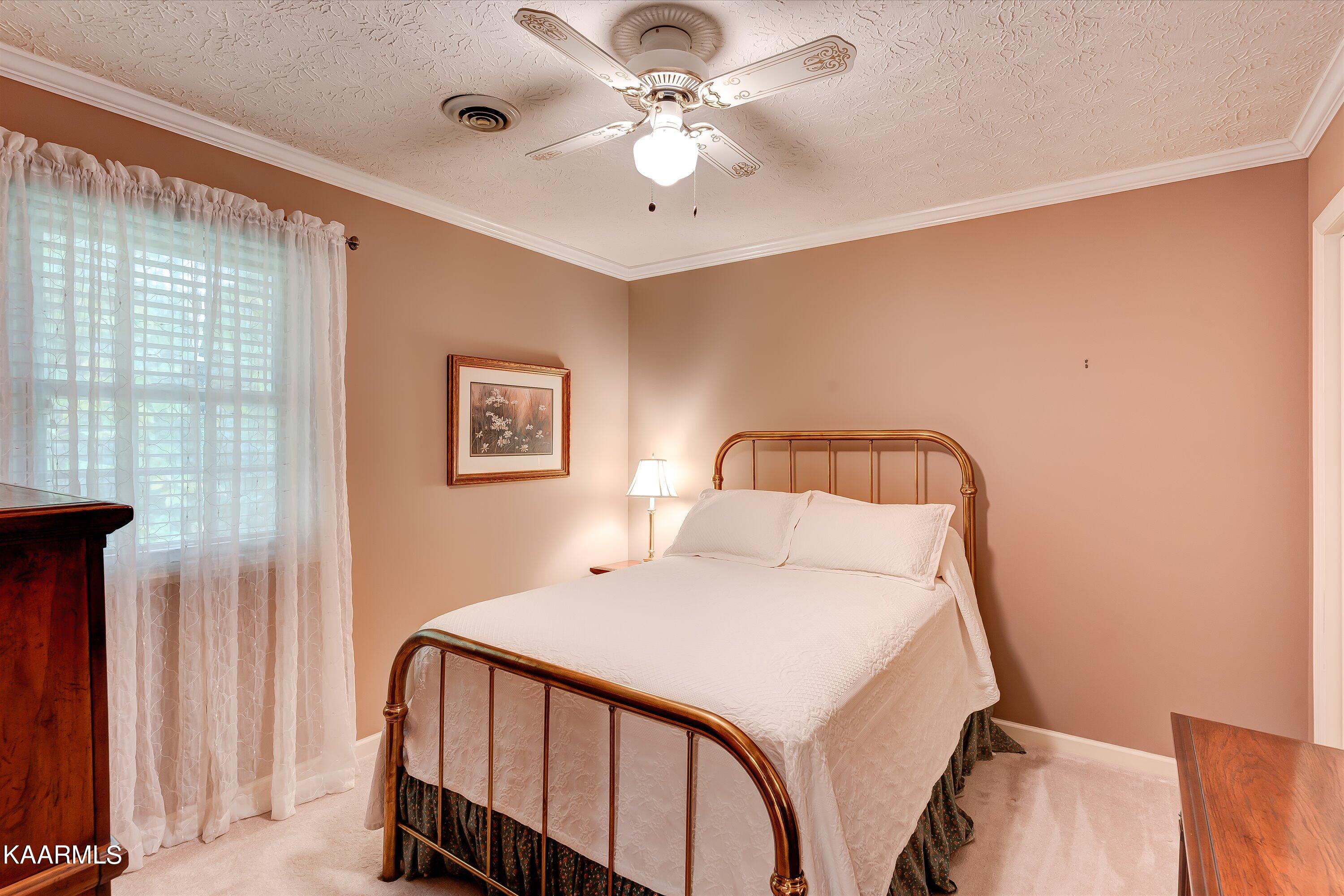 1329 Candlewick Road Knoxville, TN 37932 - Photo 28 of 48 30-1329 Candlewick Rd-30