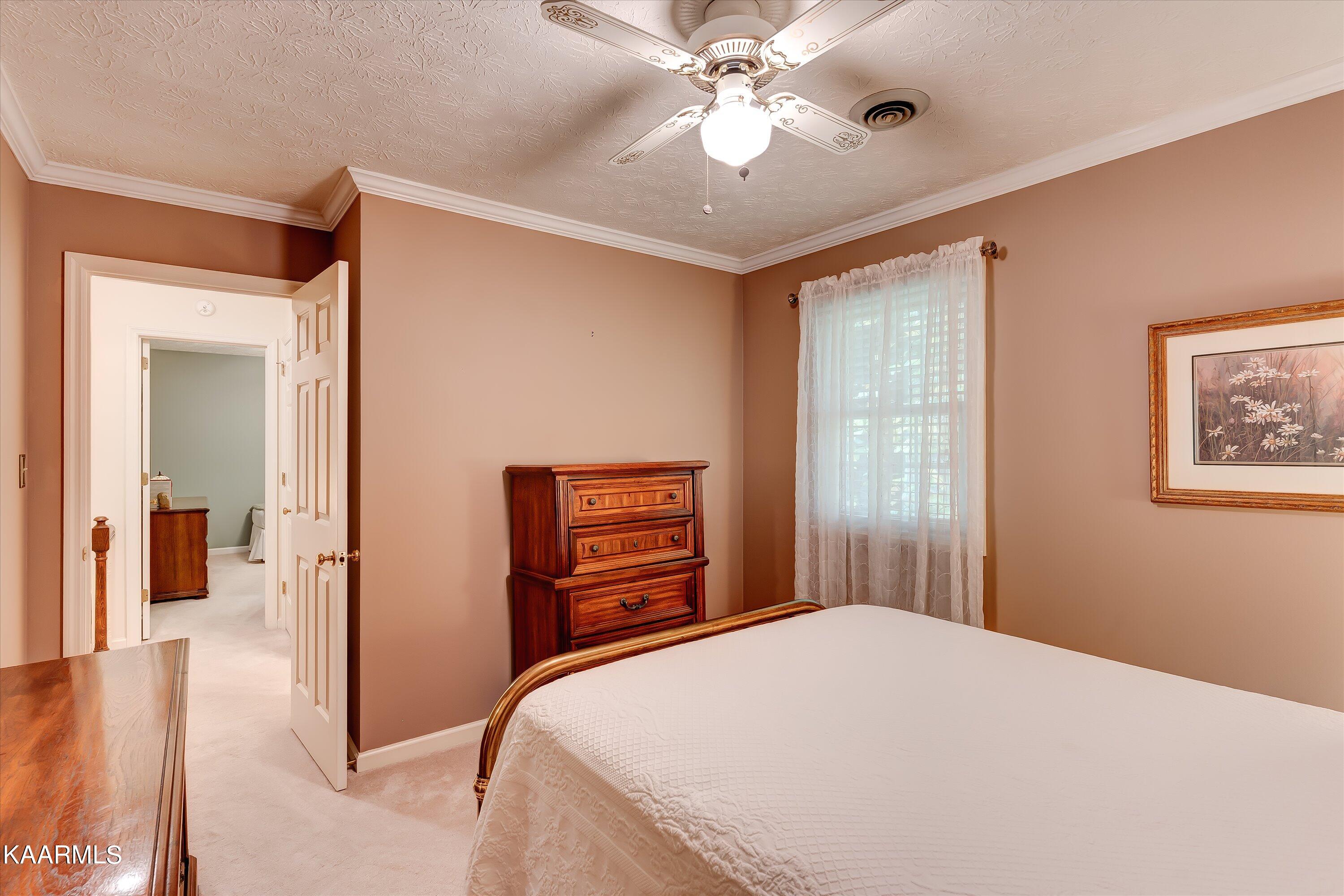 1329 Candlewick Road Knoxville, TN 37932 - Photo 29 of 48 31-1329 Candlewick Rd-31