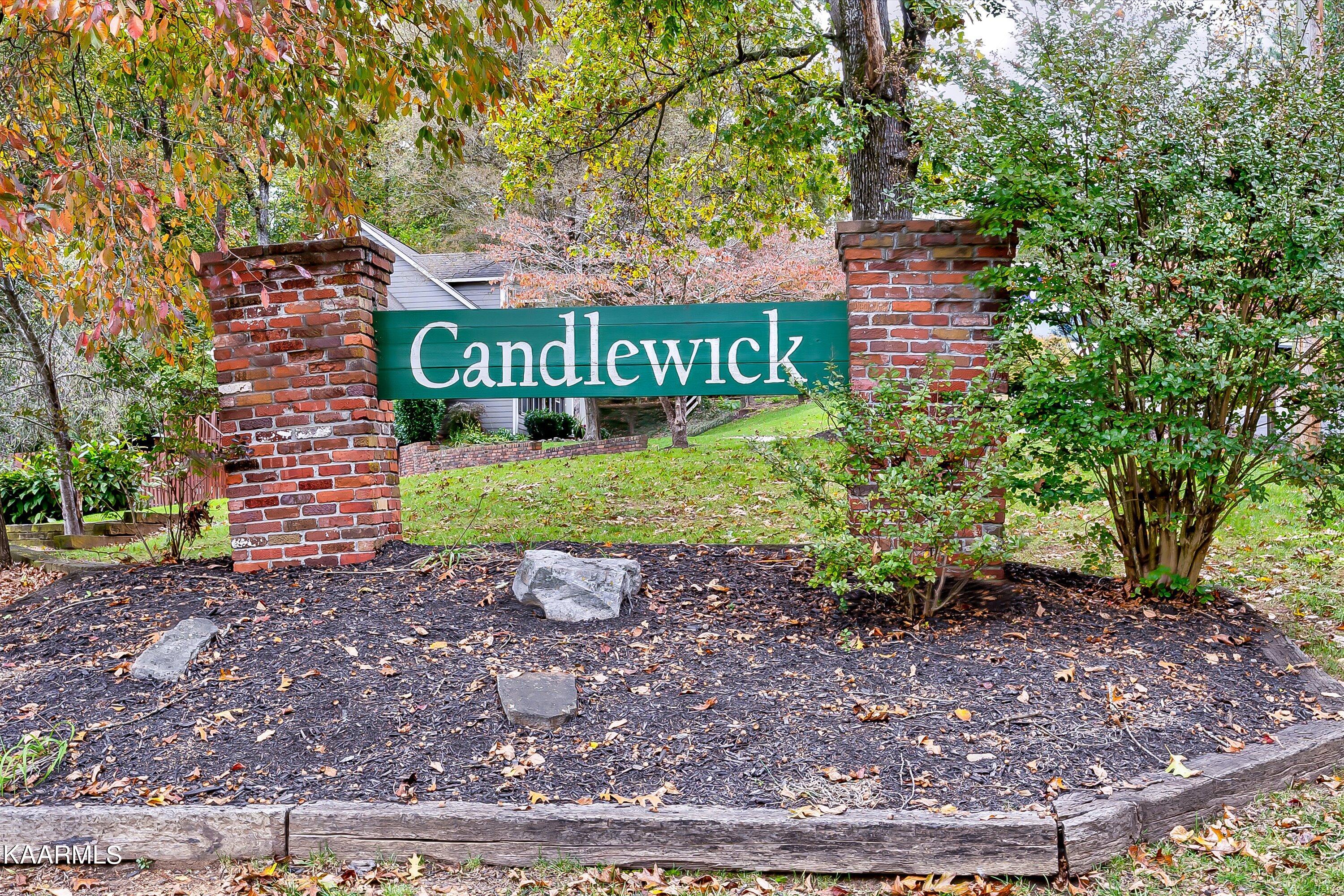 1329 Candlewick Road Knoxville, TN 37932 - Photo 44 of 48 50-1329 Candlewick Rd-50