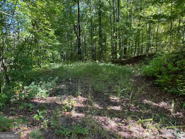 a view of outdoor space and green space