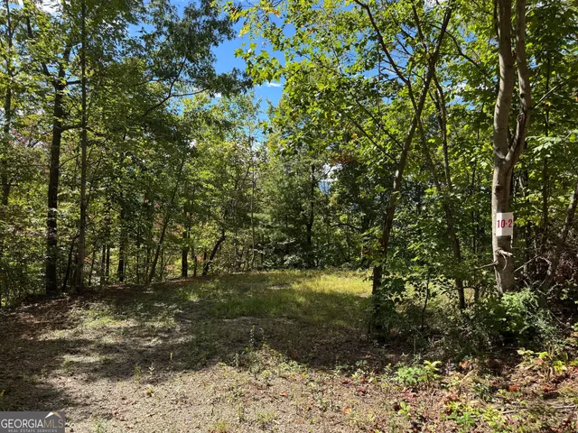 a view of a pathway both side of yard