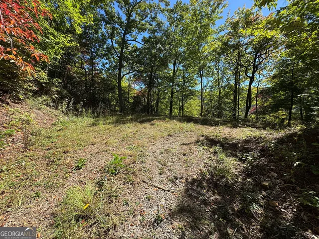 a view of a yard with large trees
