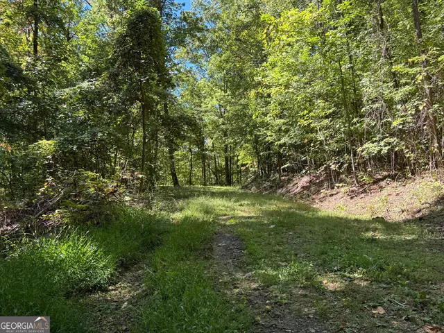 a view of a lush green space