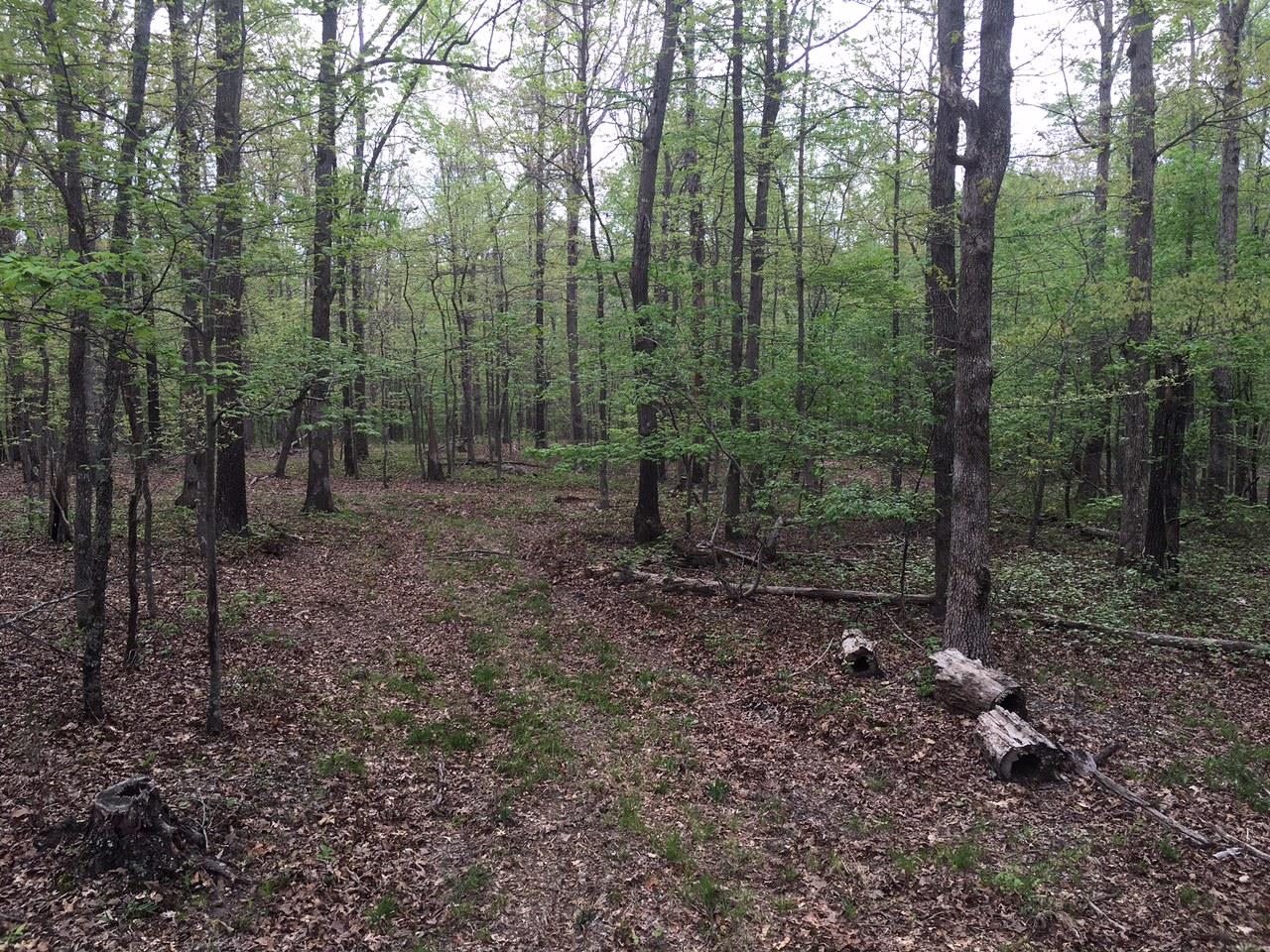 0 Old Stage Road Dickson, TN 37055 - Photo 5 of 5 Gallery Image 5