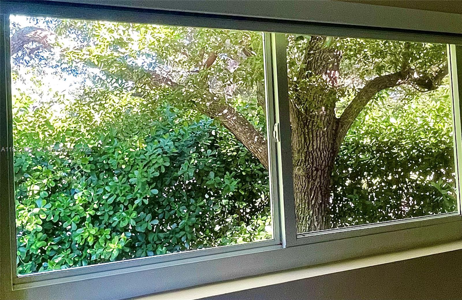 7305 Southwest 132nd Street Pinecrest, FL 33156 - Photo 8 of 13