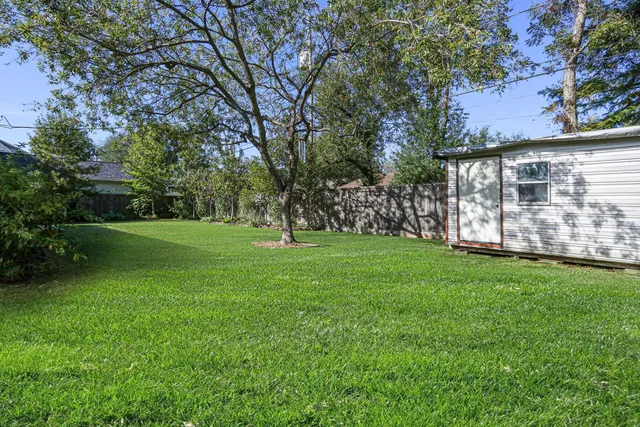 a view of a trees with a yard