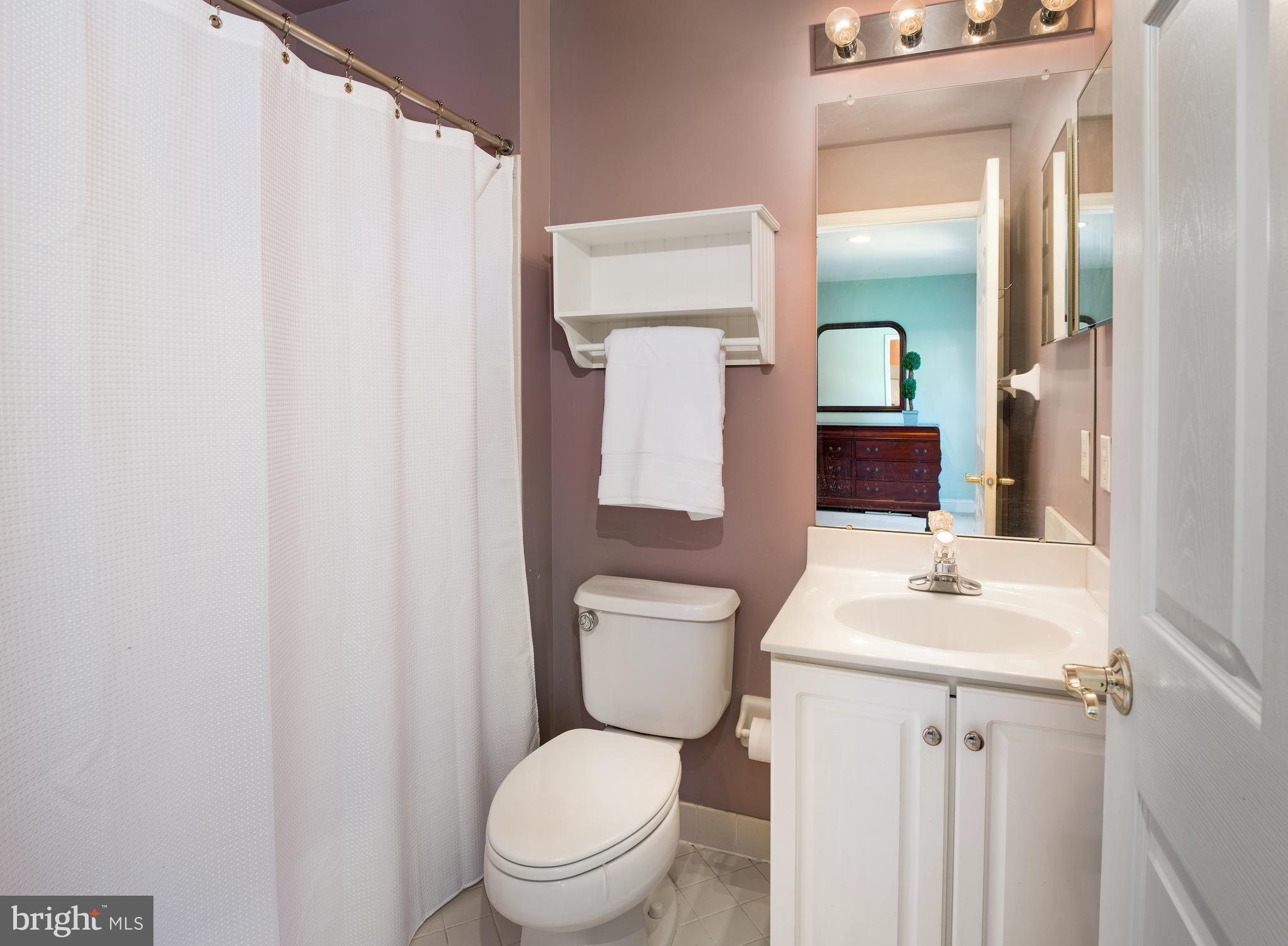 1136 Pebble Spring Drive Berwyn, PA 19312 - Photo 27 of 36 Bathroom