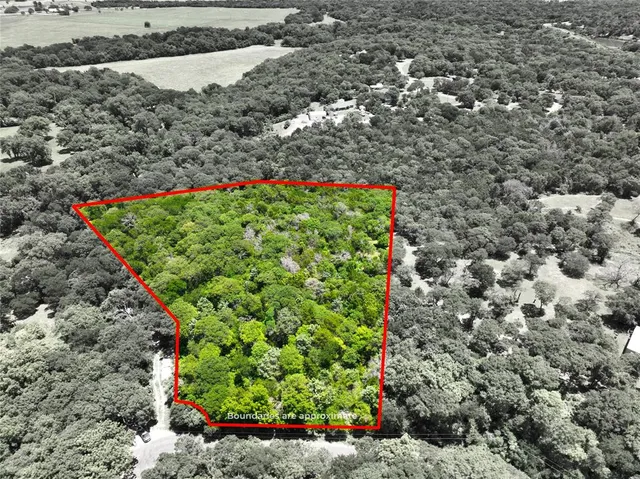 a picture of a yard with flowers