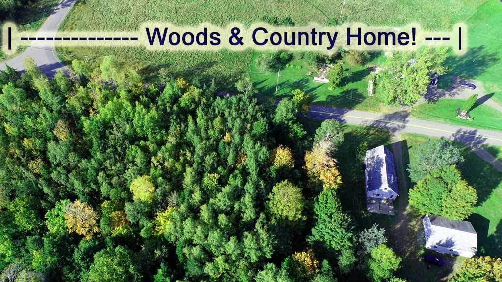 1378 Bancroft Road Wytopitlock, ME 04497 - Photo 8 of 55 1378-bancxroft-rd-bancroft-