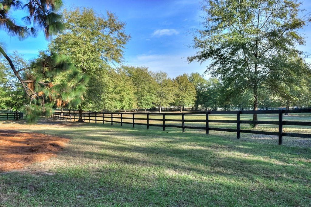 290 Vintage Vale Road Aiken, SC 29805 - Photo 33 of 47