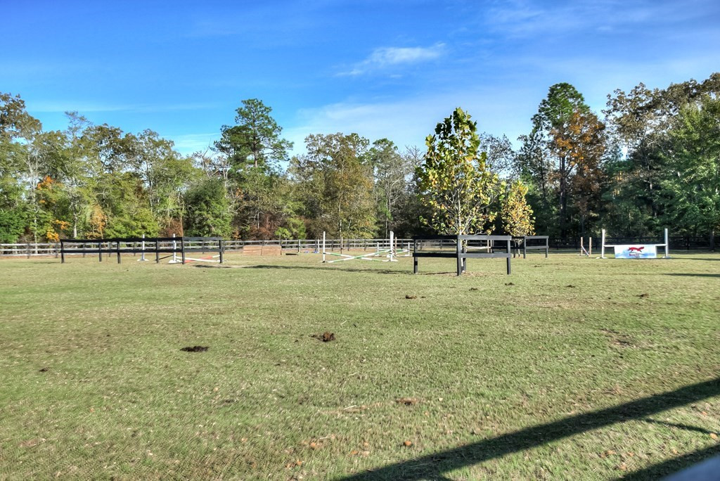 290 Vintage Vale Road Aiken, SC 29805 - Photo 38 of 47