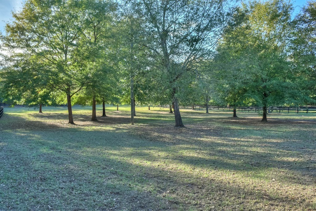 290 Vintage Vale Road Aiken, SC 29805 - Photo 42 of 47