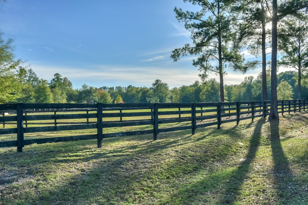 290 Vintage Vale Road Aiken, SC 29805 - Photo 43 of 47