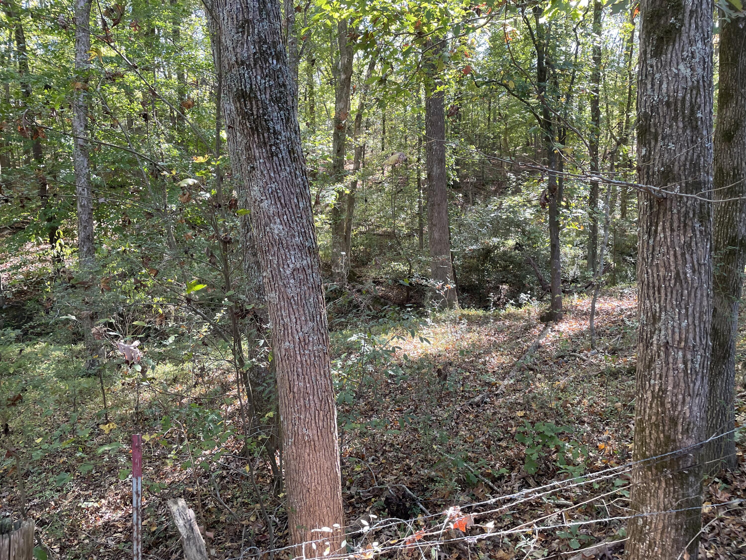 376 Old Vienna Road Abbeville, SC 29620 - Photo 13 of 31