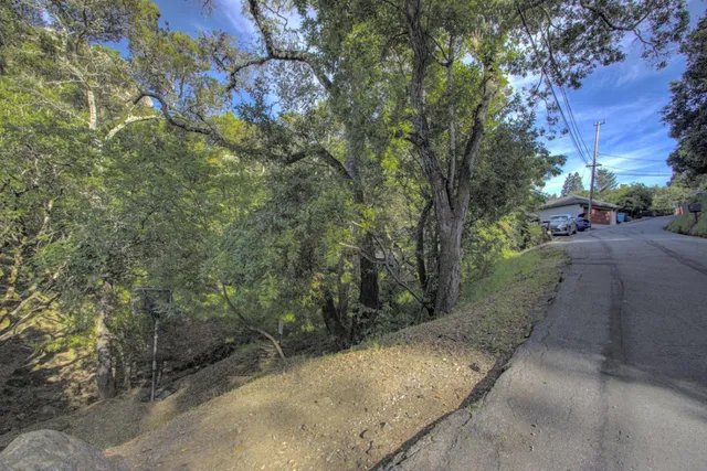 a view of a road with a yard