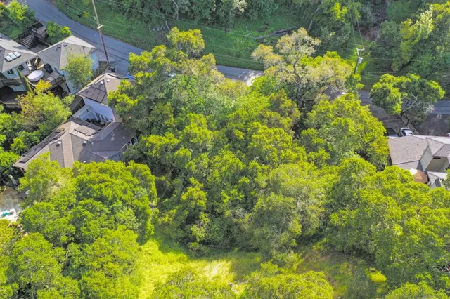 a picture of flowers