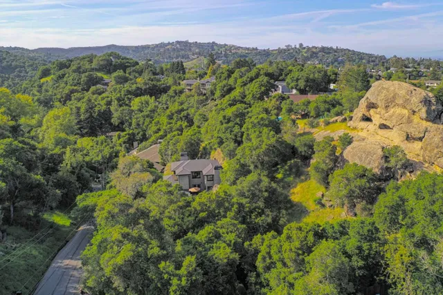 a view of a city with lush green forest