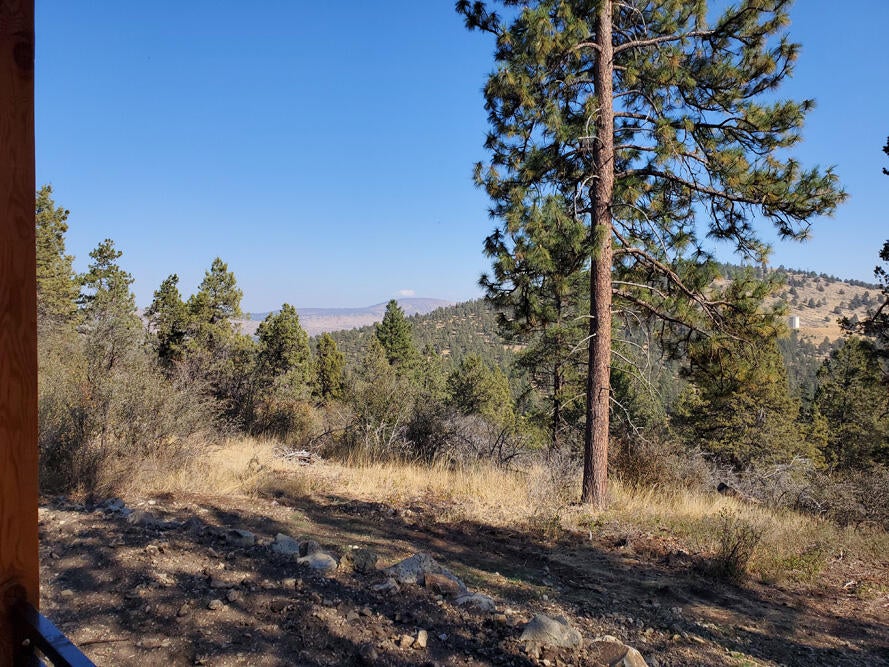979 Bailey Mountain Road Klamath Falls, OR 97601 - Photo 46 of 49 55