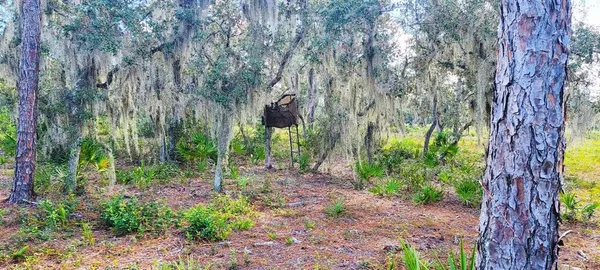 $700,000 | Rosalie Lake Rd Lake, Lake Wales, FL 33898