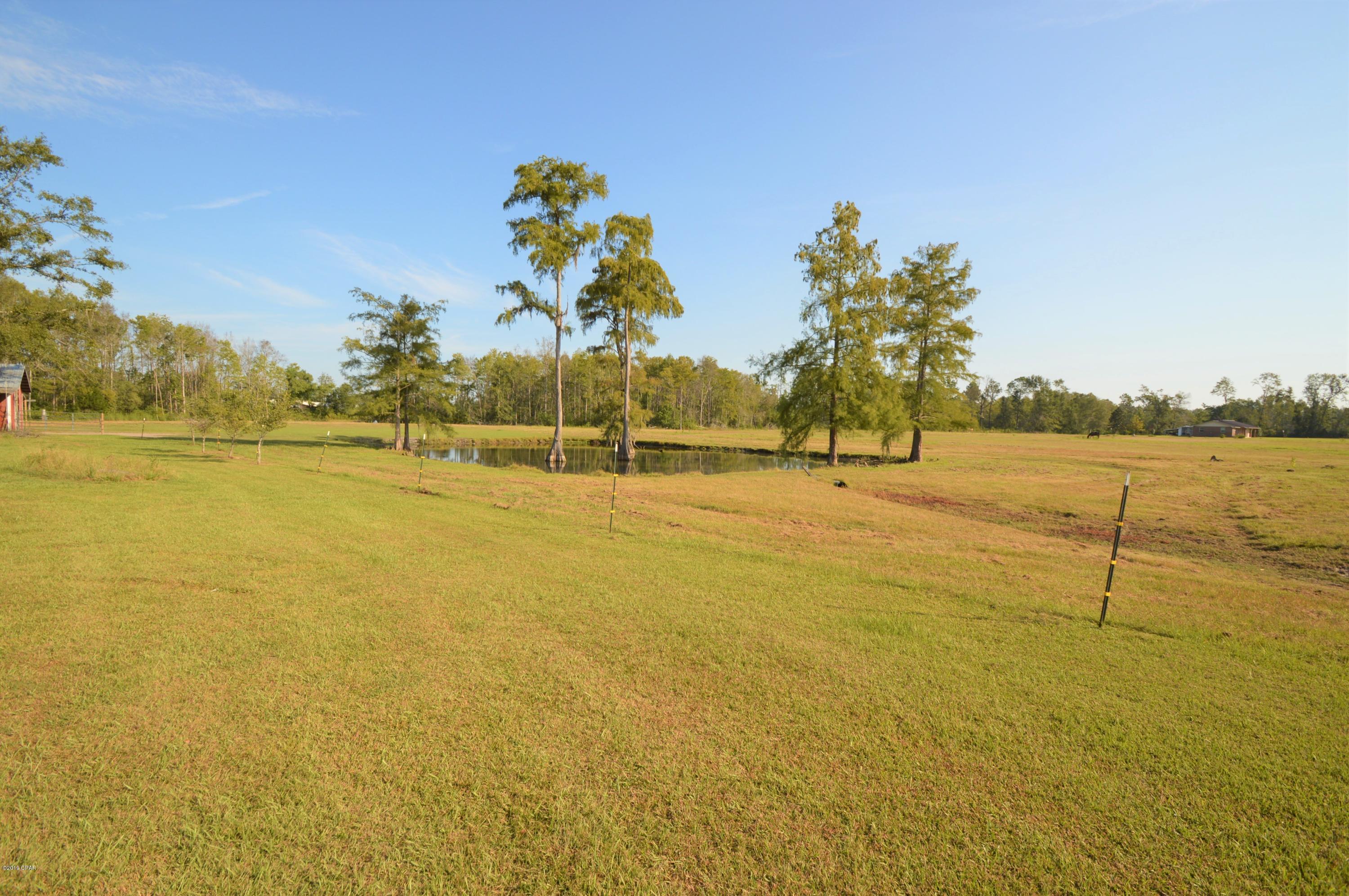 2416 Syfrett Road Cottondale, FL 32431 - Photo 5 of 38
