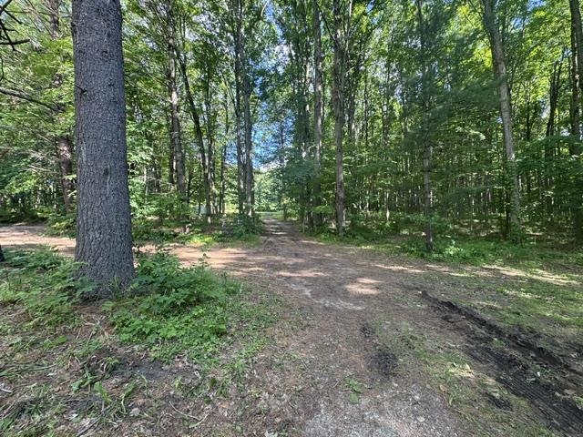 8299 West Walker Road Manton, MI 49663 - Photo 9 of 50